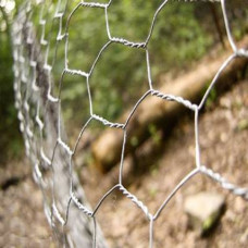 Chicken wire